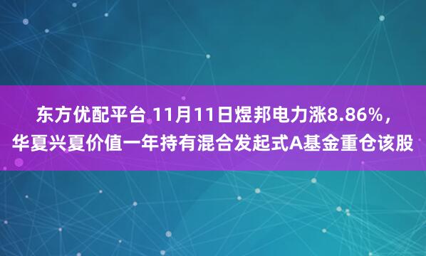 东方优配平台 11月11日煜邦电力涨8.86%，华夏兴夏价值一年持有混合发起式A基金重仓该股