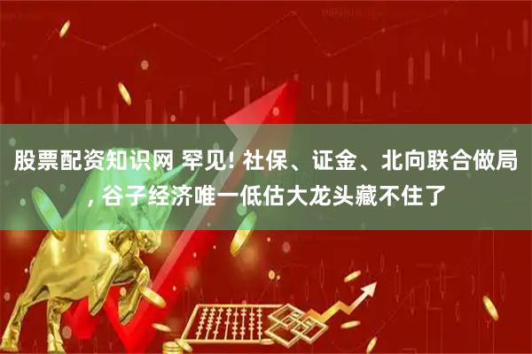股票配资知识网 罕见! 社保、证金、北向联合做局, 谷子经济唯一低估大龙头藏不住了