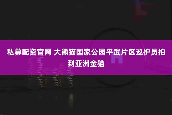 私募配资官网 大熊猫国家公园平武片区巡护员拍到亚洲金猫